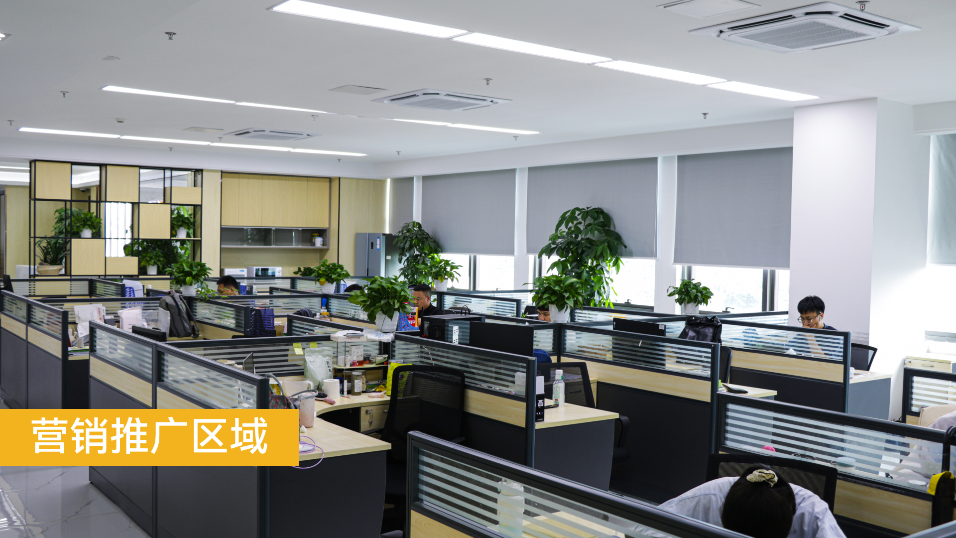 营销推广区域.jpg